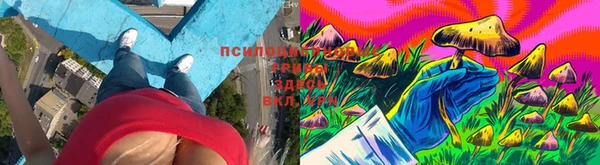 эйфоретик Нея