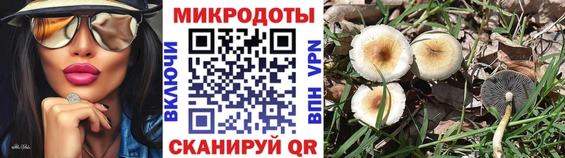 Галлюциногенные грибы Psilocybine cubensis  даркнет сайт  Кологрив 