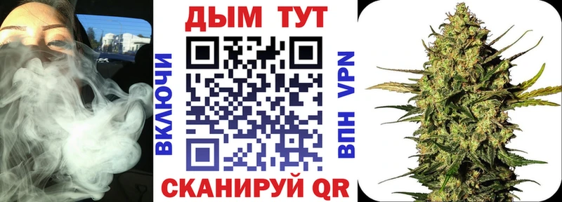 Бошки марихуана SATIVA & INDICA  купить  сайты  Кологрив 